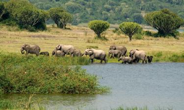 Khách sạn gần Công viên quốc gia Queen Elizabeth National Park