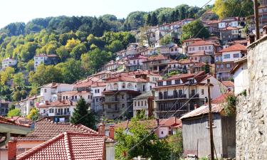 Hotele w pobliżu miejsca Metsovo