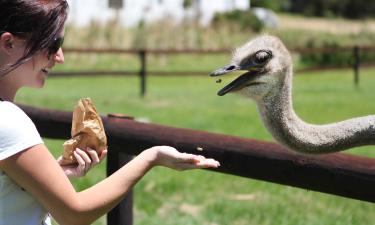 Freizeitpark Panaca: Hotels in der Nähe