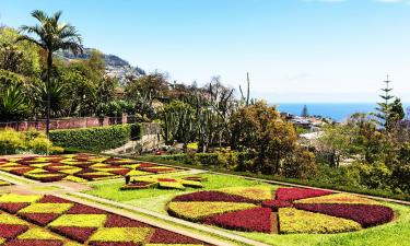 Hotels in de buurt van Botanische tuin van Madeira