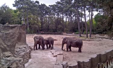 パルミル動物園周辺のホテル