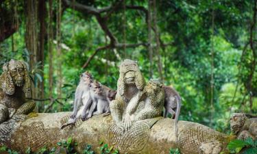 Ubud Maymun Ormanı yakınındaki oteller