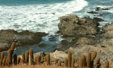 Punta de Lobos – hotely v okolí