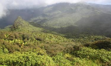 Foresta Pluviale El Yunque: hotel