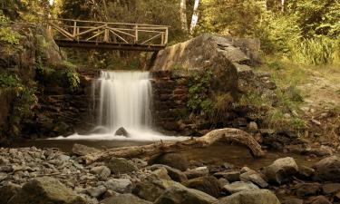 Hoteller i nærheden af Vitosha Park