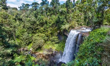 Hotels near Atherton Tablelands