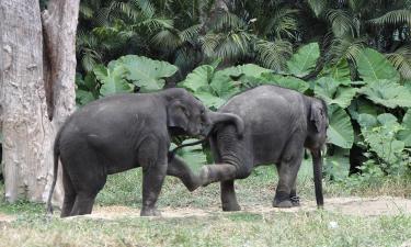 Hoteles cerca de Parque Nacional de Bannerghatta