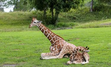 Hotele w pobliżu miejsca Ogór zoologiczny na terenie Dworze Królowej nad Łabą