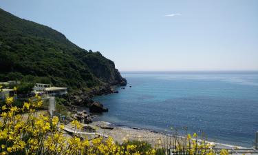 Hoteles cerca de Playa de Ermones