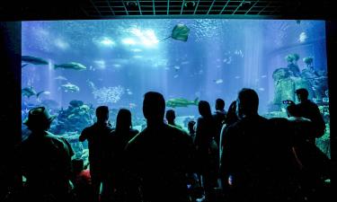 Khách sạn gần Thủy cung Antalya Aquarium