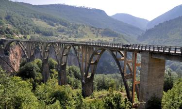 โรงแรมใกล้สะพาน Durdevica Tara Bridge