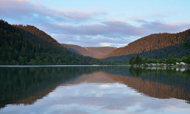 Hoteller i nærheden af Lac de Longemer