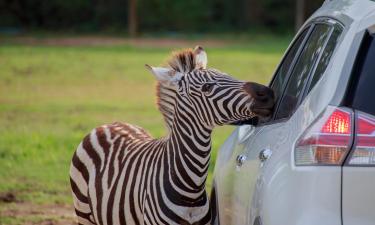 Park African Lion Safari – hotely v okolí