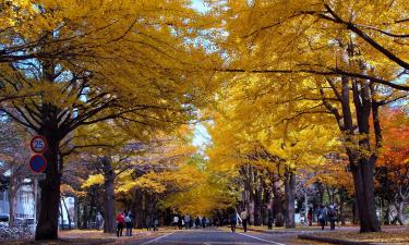 Hoteller i nærheden af Hokkaido Universitet