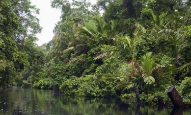 Nationalpark Tortuguero: Hotels in der Nähe