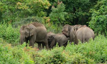 Hotellid huviväärsuse Elevantide varjupaik Elephant Nature Park lähedal
