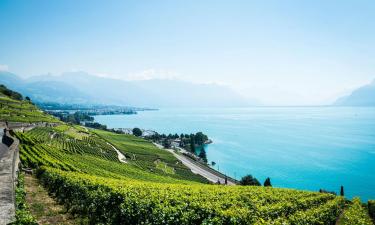 Weinberg-Terrassen von Lavaux: Hotels in der Nähe