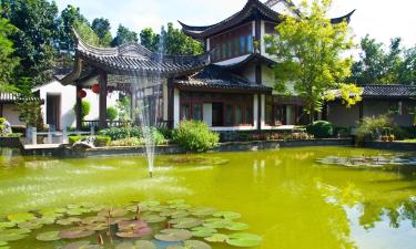 Университет Мае Фа Луанг: отели поблизости