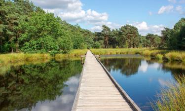 Nationalpark De Maasduinen: Hotels in der Nähe