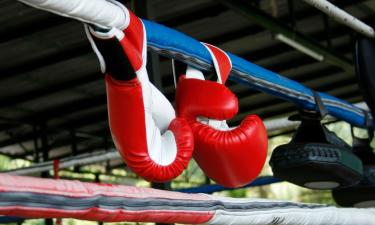 Centro Tiger Muay Thai and MMA Training Camp: hotel