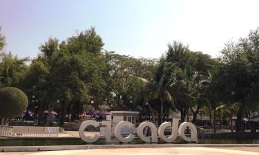 Hotels near Cicada Market
