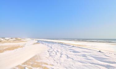 오션 시티 비치 주변 호텔