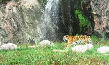 科爾莫登野生動物園附近的飯店