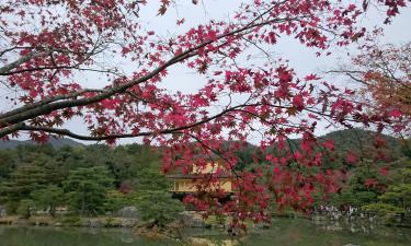 Hoteller nær Kinkaku-ji (tempel)