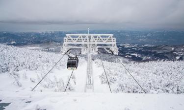 蔵王温泉スキー場周辺のホテル