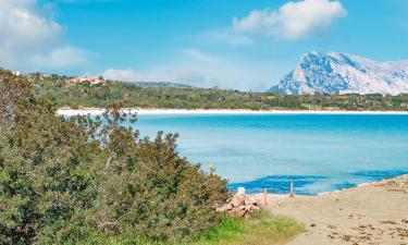 Hotelek a Cala Brandinchi-part közelében