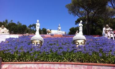 Hotels near Buddha Eden Garden