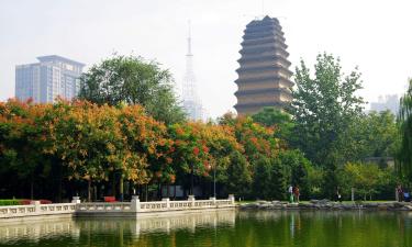 Hotels near Small Wild Goose Pagoda