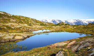 Hoteles cerca de Parque Nacional de Folgefonna