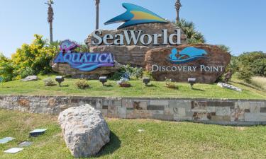 Hotels near SeaWorld San Antonio