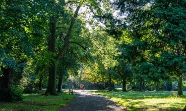 Hotele w pobliżu miejsca Ormeau Park