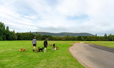 Hoteles cerca de Boucher Playing Fields