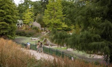 Hotelek a Crystal Palace Park közelében