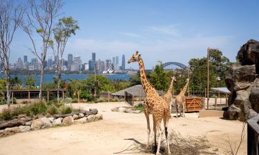Hoteller nær Taronga Zoo