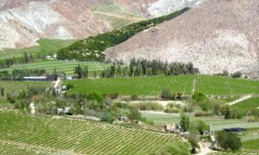 Viesnīcas netālu no apskates objekta vīna reģions Elqui Valley