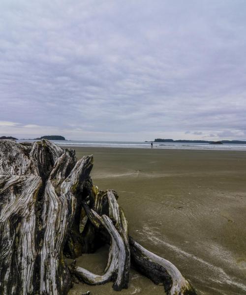 Eine der meistbesuchten Sehenswürdigkeiten in Tofino.