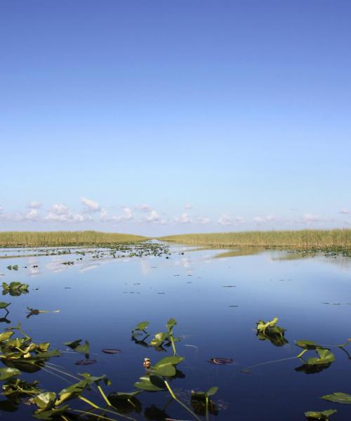 Uno de los lugares de interés más visitados de Okeechobee.