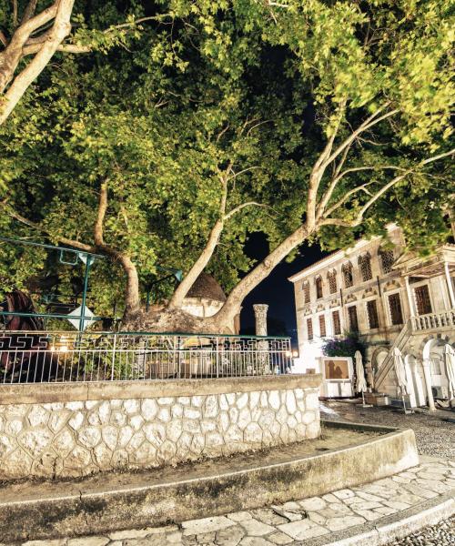 Jedna z najczęściej odwiedzanych atrakcji w mieście Miasto Kos.