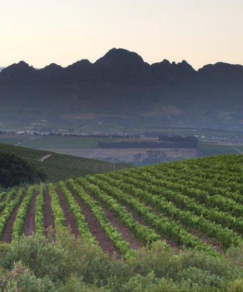 Eine der meistbesuchten Sehenswürdigkeiten in Stellenbosch.