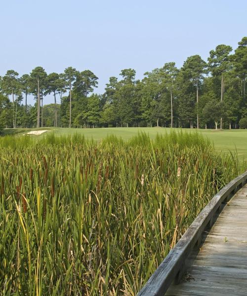 One of the most visited landmarks in Ponte Vedra Beach.