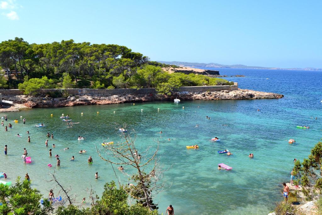 Villa Sofia, San Antonio – Updated 2022 Prices