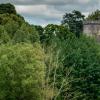 Hoteles cerca de Castillo de Powderham