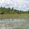 Hoteles cerca de Long Sault Parkway