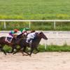 Hotels near Chepstow Racecourse