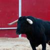 Hotels near Ávila Bullring