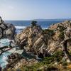 羅伯士角州立保護區（Point Lobos State Reserve）附近的飯店